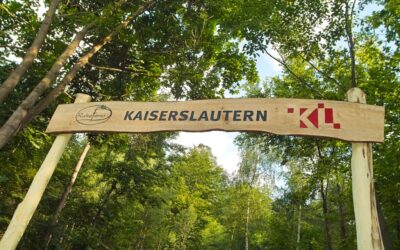 Geführter Spaziergang durch den Ruheforst am 28. Juni